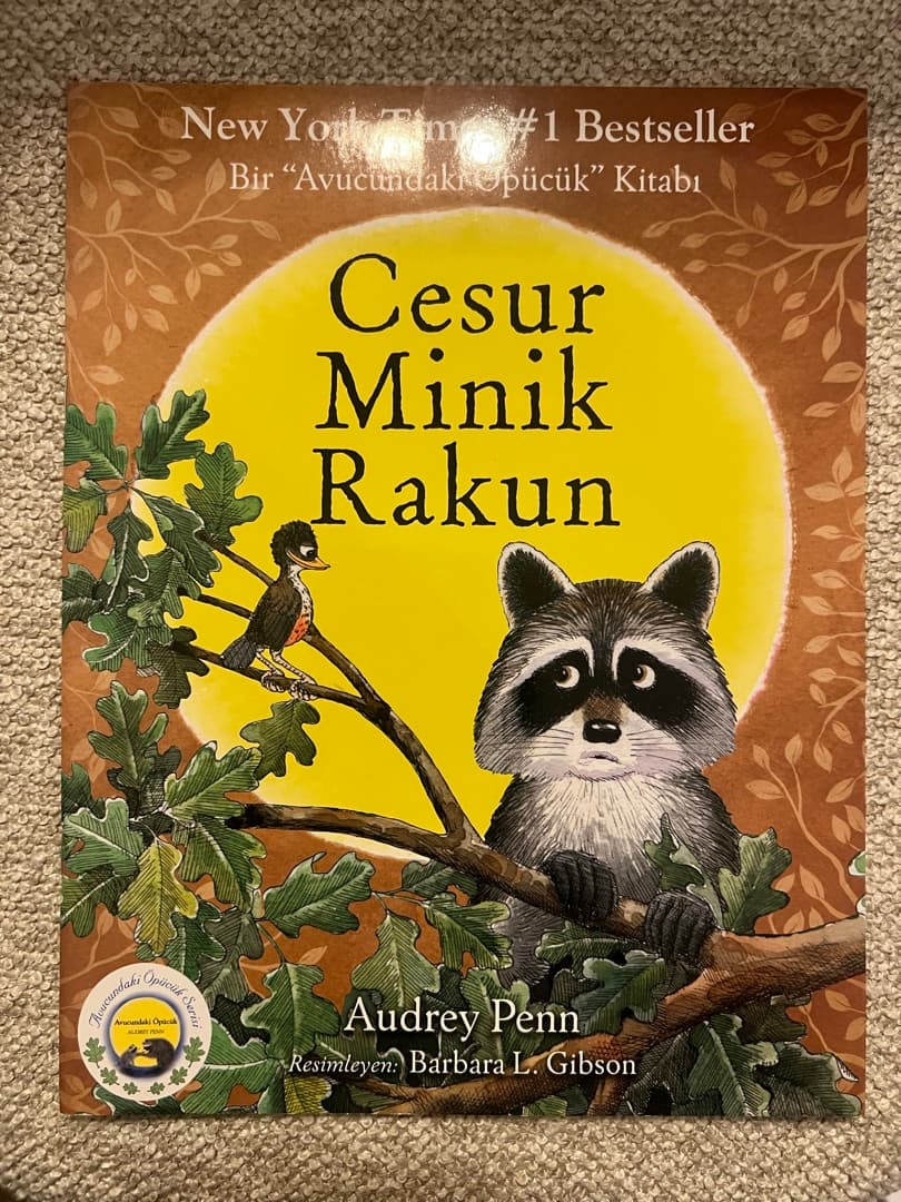 Foto 1 van Cesur Minik Rakun