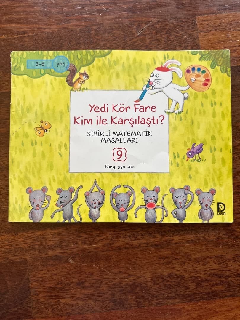 Foto 1 van Yedi Kör Fare Kim ile Karşılaştı? Sihirli Matematik Masalları 9