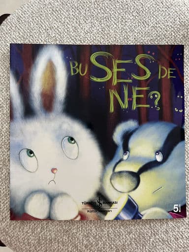 Foto 1 van Bu Ses de Ne?