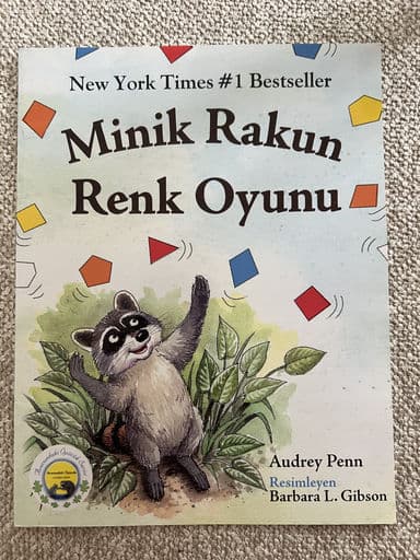 Foto 1 van Minik Rakun: Renk Oyunu